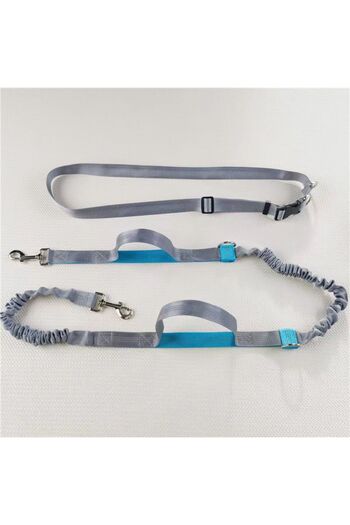 Choice (Light grey rope) 2025 NEW Cat Dog Hands-Free Leash Outdoor Sports Running Reflective Elastic Dog Wa