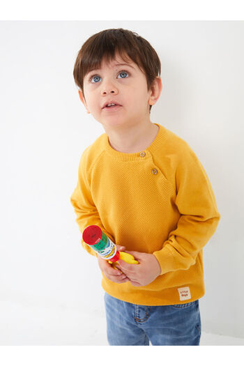 LC Waikiki Crew Neck Long Sleeve Baby Boy Knitwear Sweater