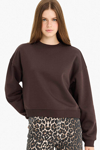 DeFacto Brown Women's Sweatshirt D6645Ax/Bn192