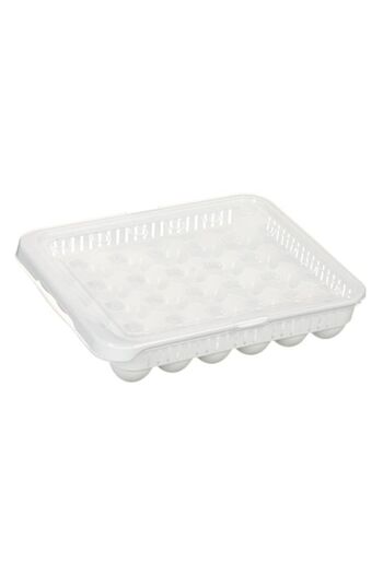 OEM Cofraj din Plastic Alb cu Capac pentru 30 de Oua 27.5x32x7.7cm