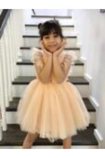 Mamboo Beige Tulle Train Dress for Girls 2-9 Years