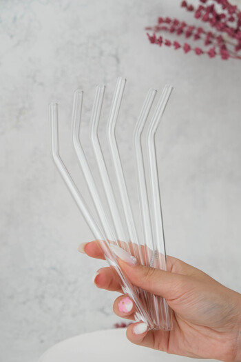 AYEM HOME Set of 6 Glass Straw Brushes