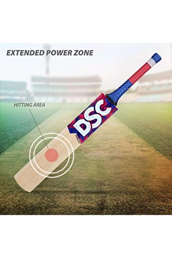DSC intense Zeal Kashmir Willow Cricket Bat for Leather Ball |Size- Harrow | Free Cover|