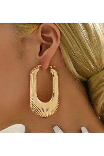 Dgt Luxury Geometric, Light, Retro, Elegant Earrings