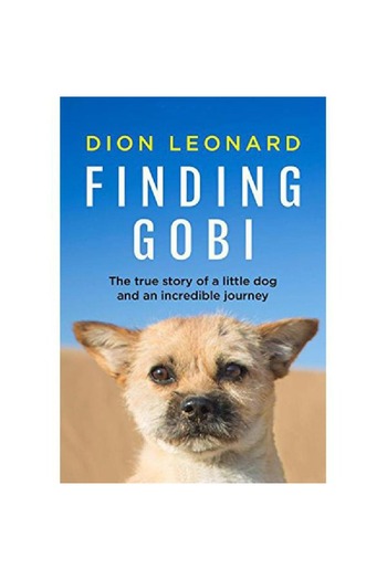 Harper Collins Finding Gobi