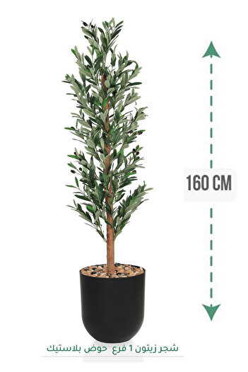 Generic Olive tree 1 branch plastic tub