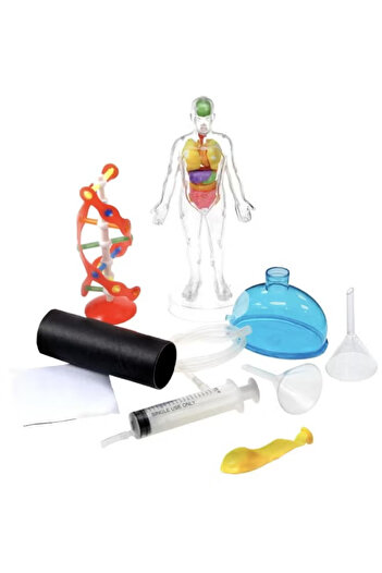 Ein-O Science Smart-Box Human Anatomy Science Learning Activity Set