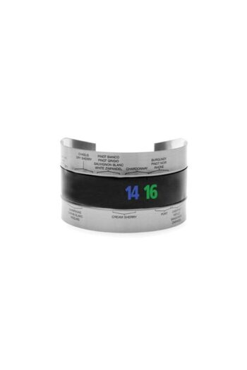 Gadget Master Thermometer for Wine Bottle