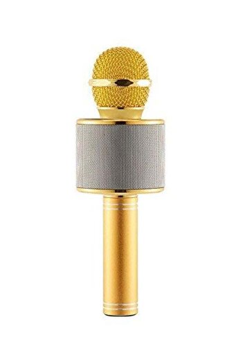 Generic Wireless Karaoke Microphone WS-858 Gold/Silver