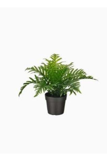 Generic Artificial plant in indoor and outdoor vessels
