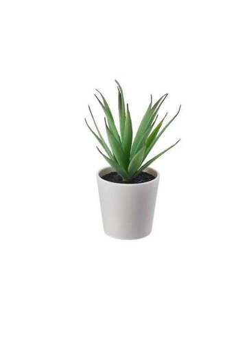 Generic Artificial plant with pot, indoor outdoor succulent tree, size 6 cm