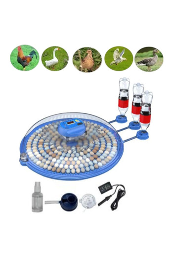 Light up 80 Chicken 240 Bird Egg Capacity Double Tray Incubator - Goose, Duck, Chicken, Quail Inside