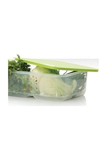 Tupperware وعاء فواكه نباتية سيرا 9.9 لتر