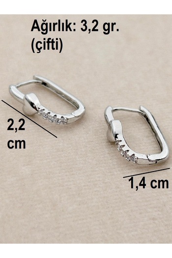Siya Silver Zircon Stone Heart Detailed Rectangular Steel Earrings