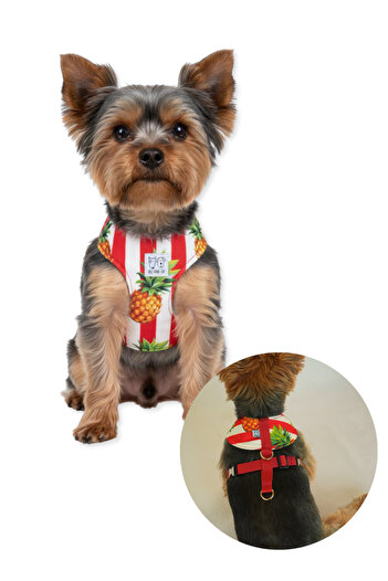 Oli and Lui Pineapple Patterned Dog Collar