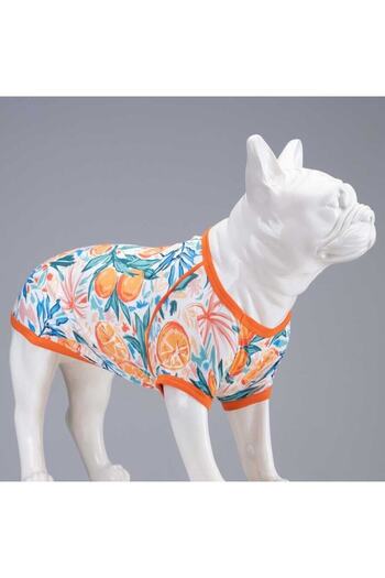 Lindodogs Orange Blossom Small, Medium and Large Breed Dog T-shirt