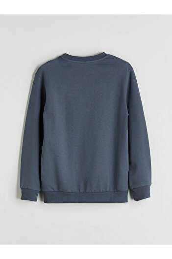 LC Waikiki Lcw Eco Gray Crew Neck Boys Sweatshirt