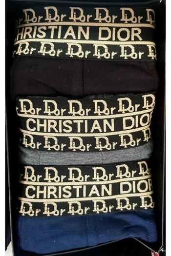 Dior Premium Quality Underwear L