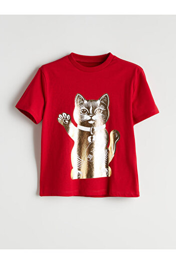 LC Waikiki Crew Neck Printed Boy's T-Shirt