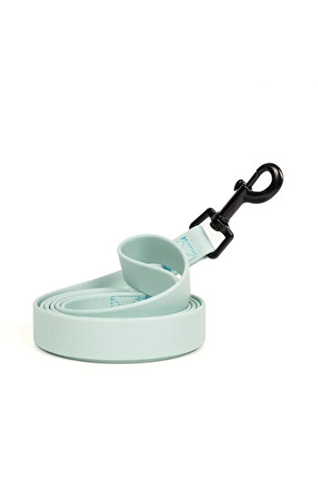 Choice L light green Waterproof Dog Leash Adjustable Quick Release Buckle Collar Leash for Small Medium Lar