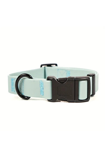 Choice L Mint Green Dog Collar, Waterproof Plastic PVC Rubber WashableOutdoor Puppy Collars Durable Adjusta