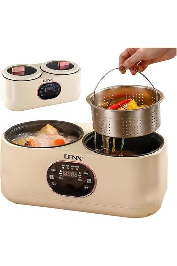 Denx Electric Cooker with Dual Basin, 1L + 1L (DX3901), Smart Kitchen Appliance, Multi-functional with Ti