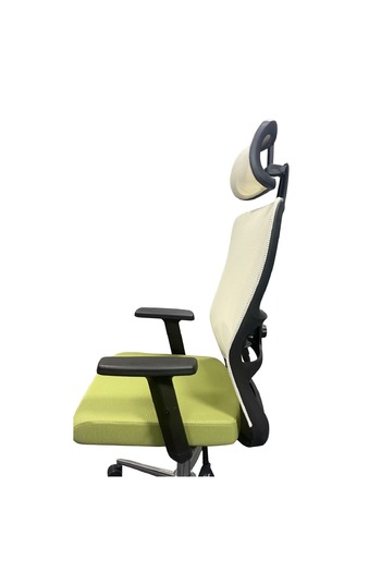 RFAN Scaun de birou ergonomic cu suport cervical și design modern, alb-verde
