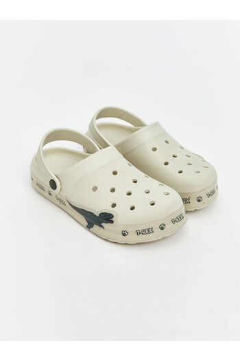 LC Waikiki New Season Dinosaur Printed Boys' Beach Sandals