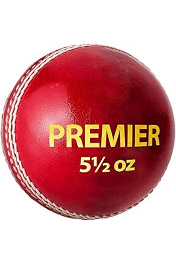 DSC Premier Leather Cricket Ball (Red)
