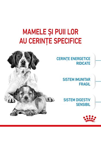 Royal Canin Medium Starter Mother & Babydog gestation/lactation puppy dry dog food, 15 kg