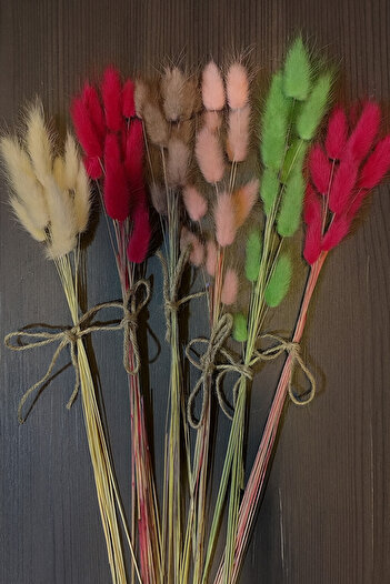 ÇINARASYADAHOME Buchet de iarbă naturală uscată de coadă de iepure în culori mixte, 6 buchete (60 ramuri)