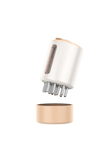 OEM Hairbrush with EMS Technology and Red Light Therapy for Hair Growth