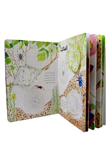 Creative ideas for publishing Discover the world of insects - open the window and discover with more than 50 folds inside the book