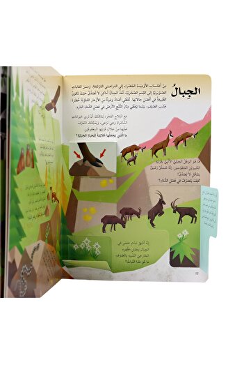 Creative ideas for publishing Discover the Earth - Open the window and discover with over 60 folds inside the book