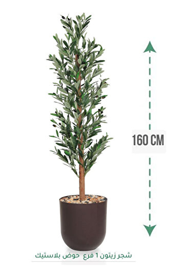 Generic Olive tree 1 branch plastic tub