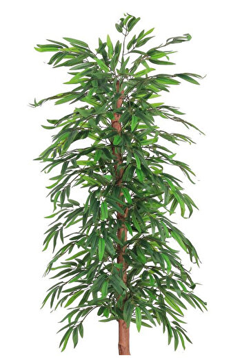 Generic Dark color bamboo leaf tree plastic pot
