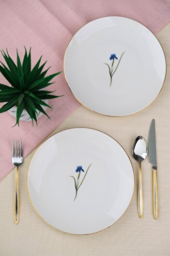 tabakevi Tabak Evi Porselen Natura İris Altın Yaldız Pasta Tabağı 20,50cm 2 li