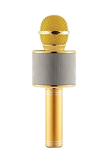 Generic Wireless Karaoke Handheld Microphone Bluetooth with USB KTV Player - WS858, Gold