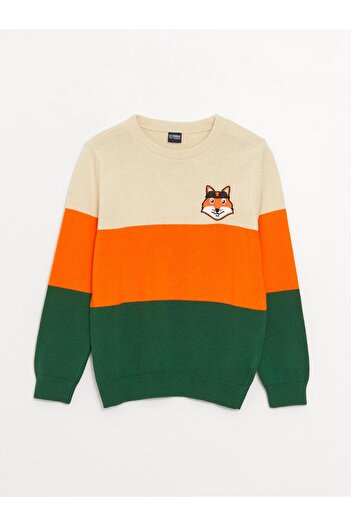 LC Waikiki Crew Neck Color Blocked Long Sleeve Boy's Knitwear Sweater