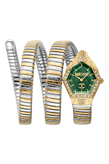 Just Cavalli Mesmerizing Female Watch JC1L304M0065