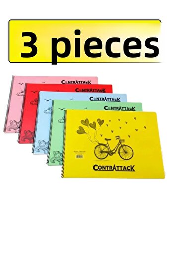 Saray 3 Pieces Plastic Cover Spiral Picture Notebook 35 X 50 Cm 25 Sheets