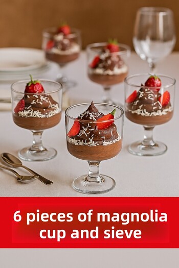 ViATOM Magnolia Glass Set of 6 (Not Glass, Mica) and Flour Round Sieve 1 Piece