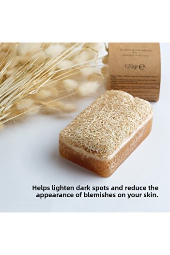 Wolawood Snail Extract Pumpkin Fiber Soap 100% Natural Handmade Exfoliating Skin Renewing and Moisturizing Soap