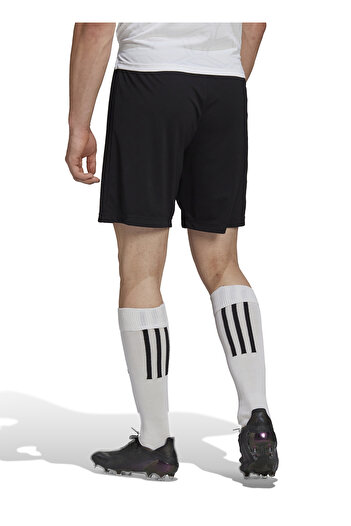 adidas H57504 Ent22 Sho Black Normal Waist Normal Straight Men's Shorts