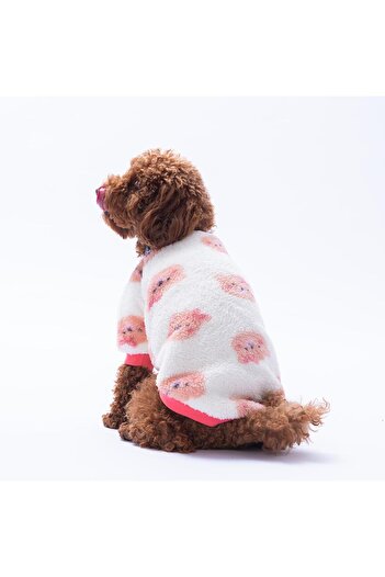Pettrend Fluffy Face Bear Patterned Sweat Cat Dog Sweati Cat Dog Outfit Dog Plush Warm Sweat