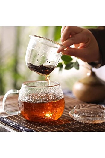 CİHO Multifunctional Borosilicate 380 ml Glass Tea Cup Mug with Lid, Teapot, Filter and Strainer