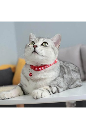 General Store Adjustable Collar with Bell for Dogs and Cats, General Store, Yellow