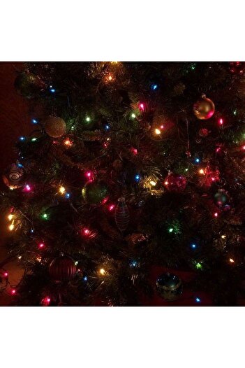 Teo Christmas Light Installation with Batteries, Linear Type, 2 Light Modes, Green Wire 1m 10 LEDs, Mult