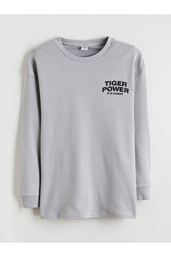 LC Waikiki Crew Neck Boy's T-Shirt
