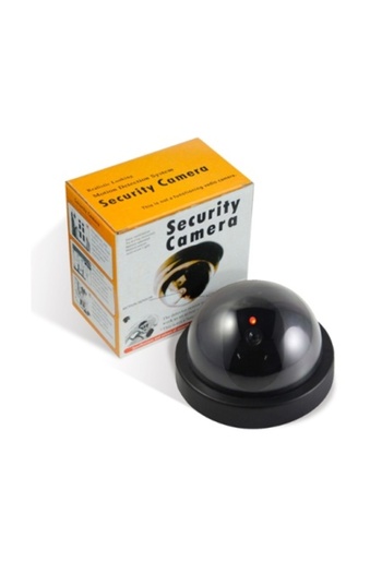 Poro Online Camera falsa tavan